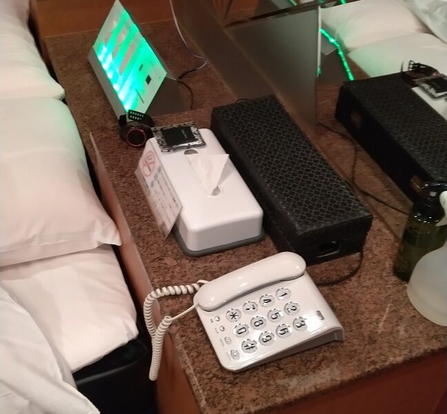 扇情のピアニスト〔1〕